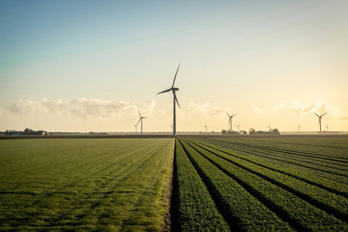 Energy Bifacial Solar Panels Environment: Why They’re the Future (and When They’re Not)