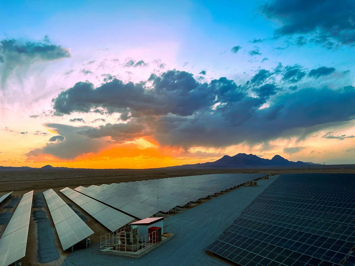 Chart showing bifacial solar panel energy gain (%) based on surface albedo: snow (80%), white paint (60%), concrete (35%), sand (25%), grass (20%)