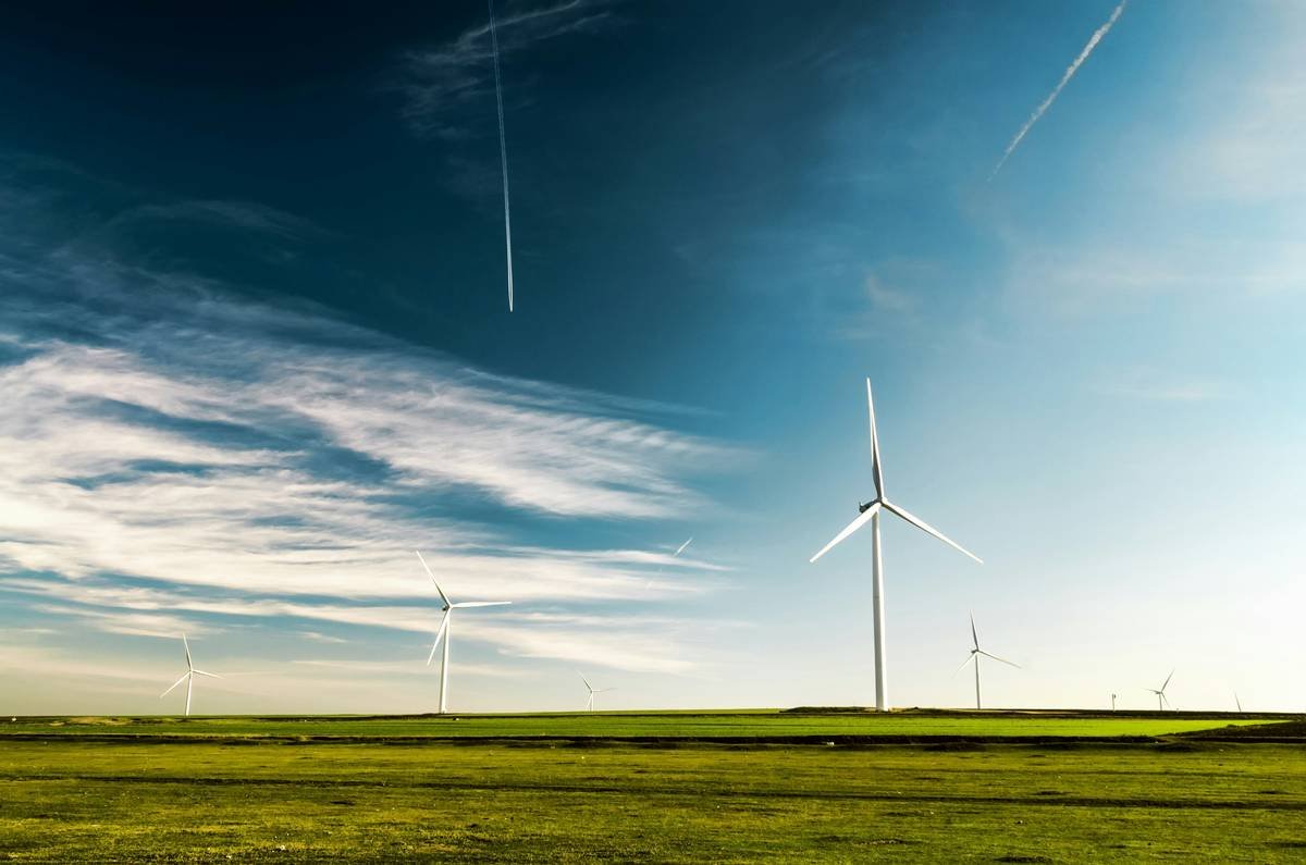 Adani Topcon Bifacial Solar Panel Efficiency: What Homeowners *Really* Need to Know in 2024