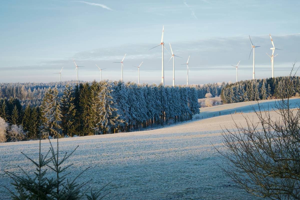 Bar chart comparing albedo values of snow, grass, concrete, and asphalt with corresponding bifacial energy gains in Canadian cities